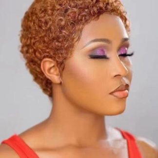 Explosive Head Female Short Curly Hair Temperament Microwave Whole Wig