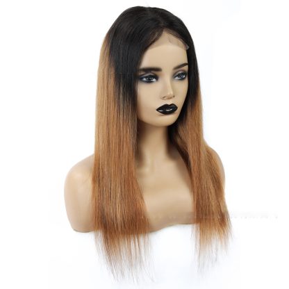 Malaysian Remy Martin Hair Gradient - Image 2