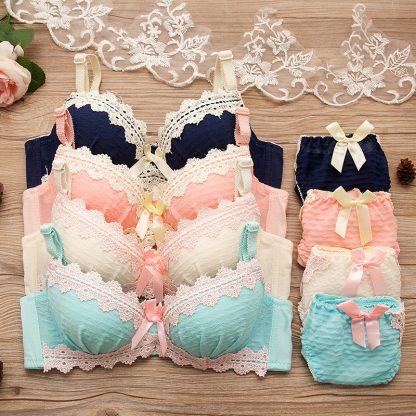 New Style Lace-Rim Sexy Bra, Comfortable Gathering Bra, Adjustable Panty Underwear Set - Image 5