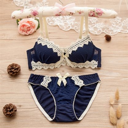 New Style Lace-Rim Sexy Bra, Comfortable Gathering Bra, Adjustable Panty Underwear Set - Image 4