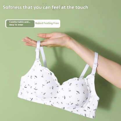 No Steel Ring Thin Underwear Gathering Bra - Image 4