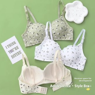 No Steel Ring Thin Underwear Gathering Bra