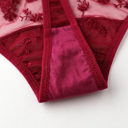 Sexy ladies embroidered panties - Image 4