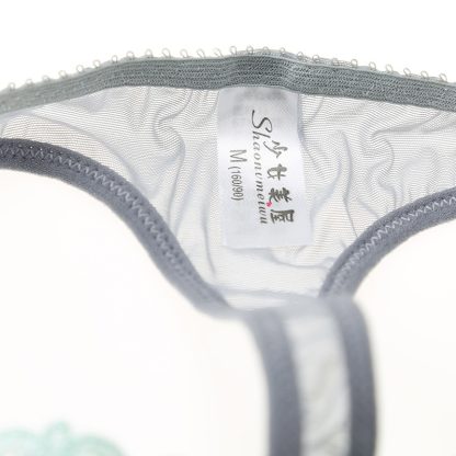 Sexy ladies embroidered panties - Image 3