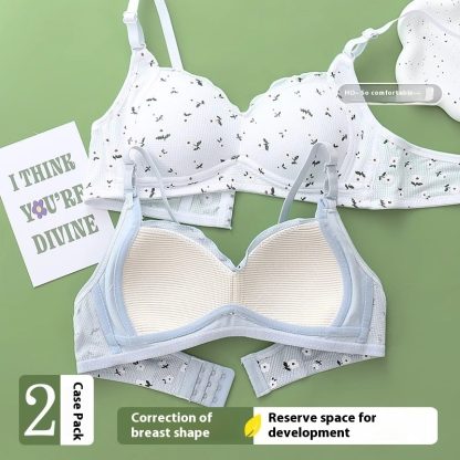 No Steel Ring Thin Underwear Gathering Bra - Image 3