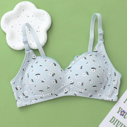 No Steel Ring Thin Underwear Gathering Bra - Image 8