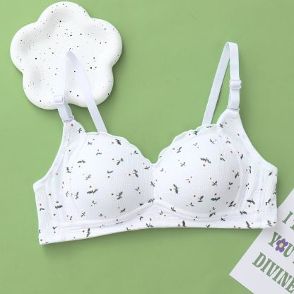 No Steel Ring Thin Underwear Gathering Bra - Image 6