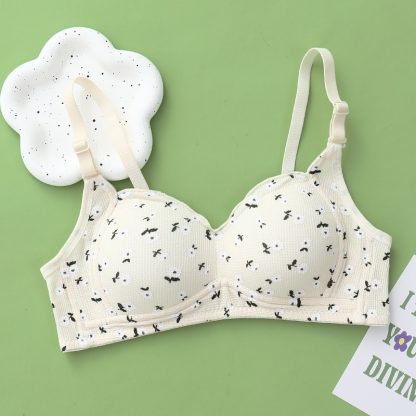 No Steel Ring Thin Underwear Gathering Bra - Image 7