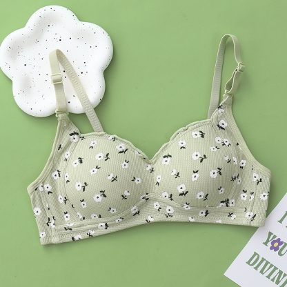 No Steel Ring Thin Underwear Gathering Bra - Image 9